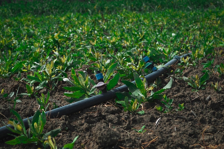 بهینه‌سازی آبیاری با لوله پلی‌اتیلن تصویر
