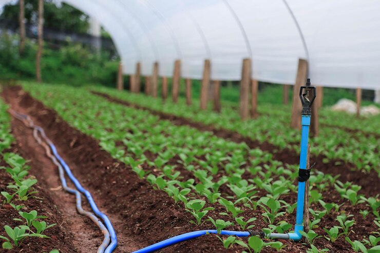 اشتباهات رایج در آبیاری کشاورزی